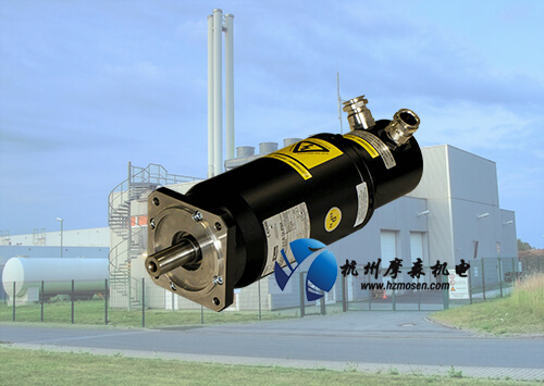 防爆伺服電機(jī)價格是否就能決定防爆電機(jī)品質(zhì)？